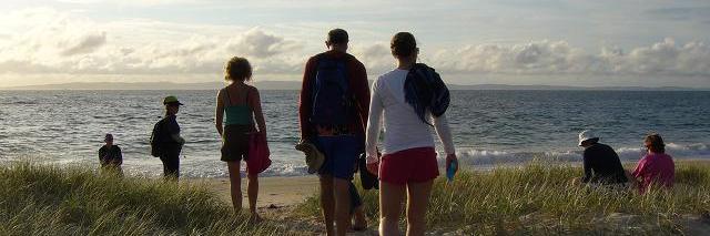 SusanWanmer's profile banner image