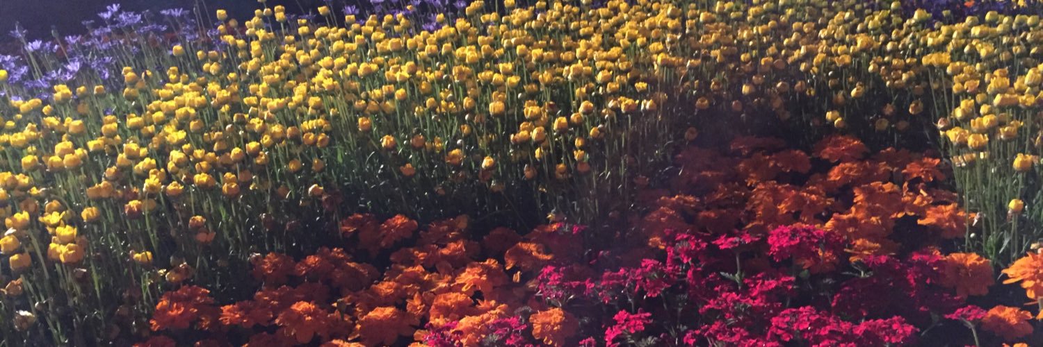 mirukudepon's profile banner image