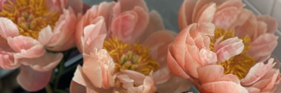____Nadiii's profile banner image