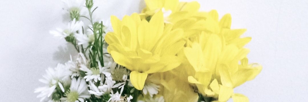 dittaul97's profile banner image