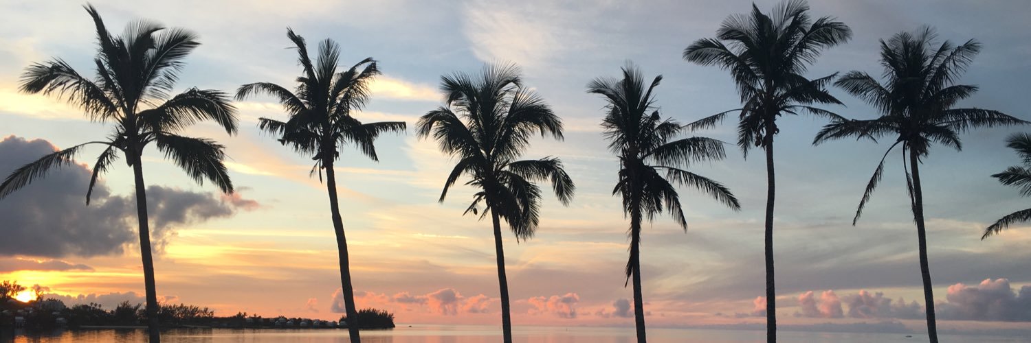 Jen_Hebert's profile banner image