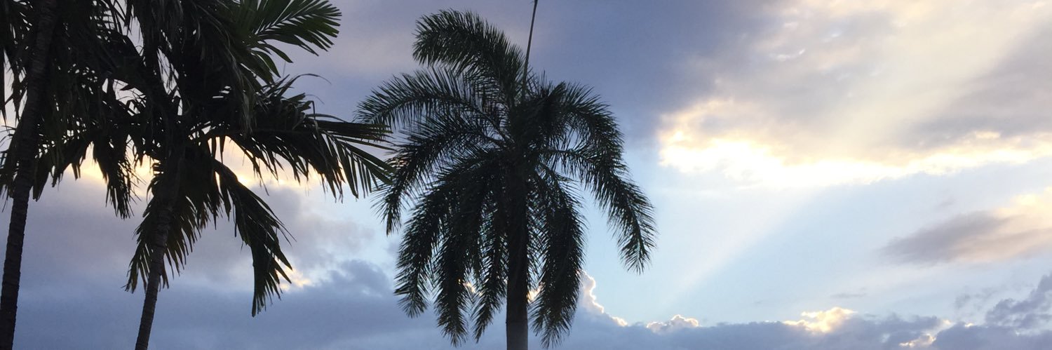 seemac17's profile banner image