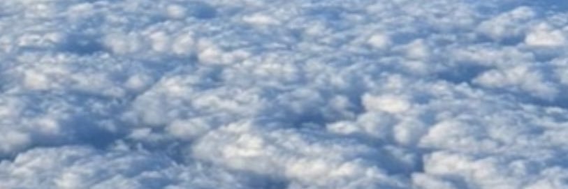 tmxhfl7894's profile banner image
