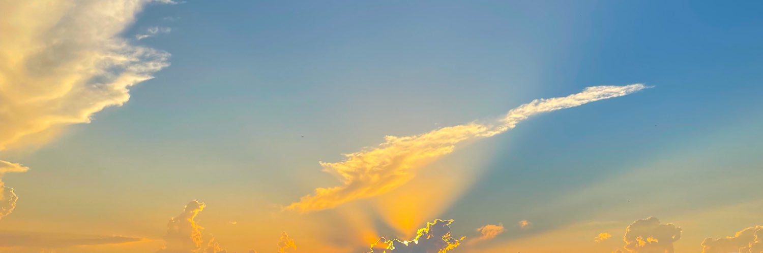 StephSchmidt5's profile banner image