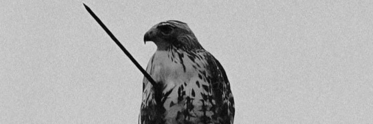 i_svdeeq's profile banner image