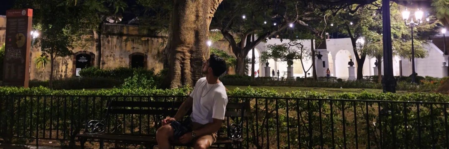 Sestrada96's profile banner image