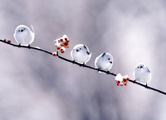 yuki_irma's profile banner image