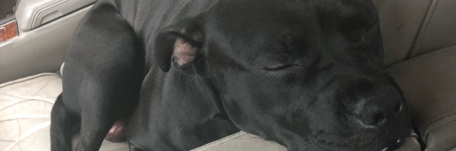 TruuJT's profile banner image