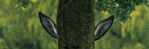 MartineGhersin's profile banner image