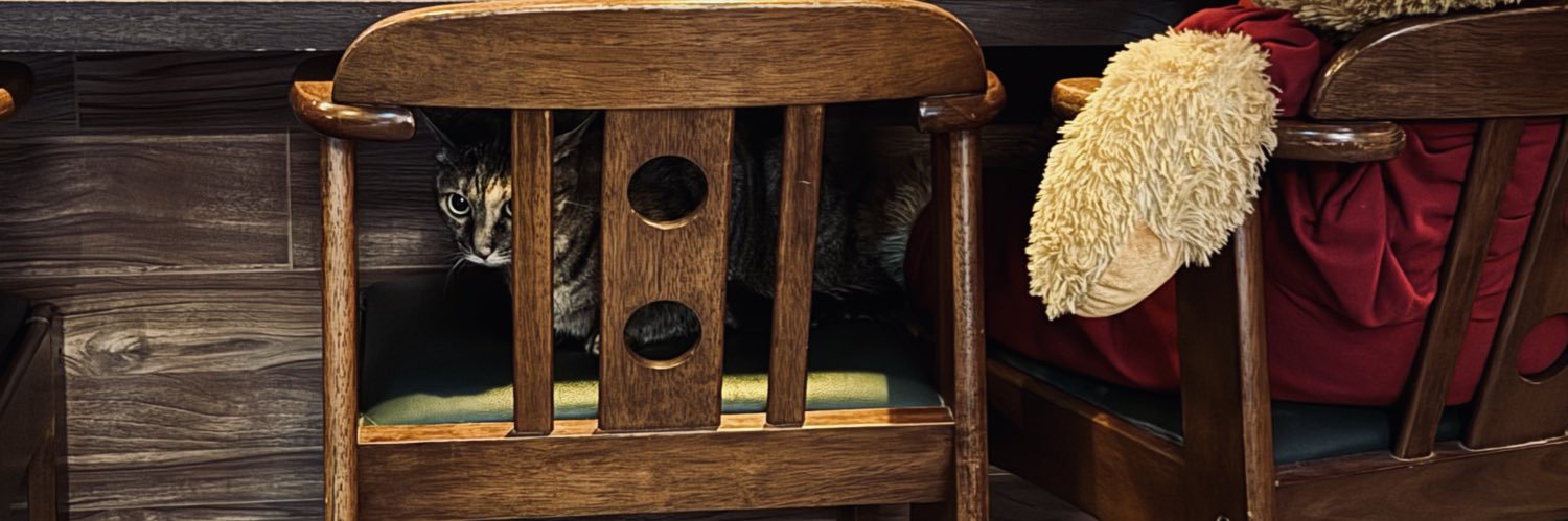 鳥かキノコか aka 獨行金針菇🍄 banner