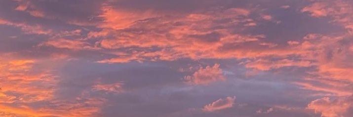 Desmond banner