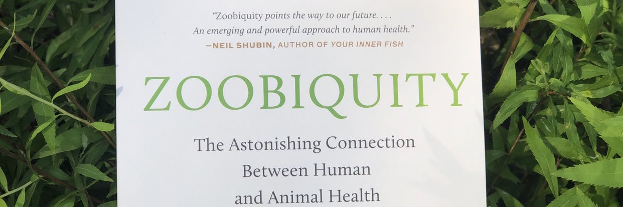 zoobiquity's profile banner image