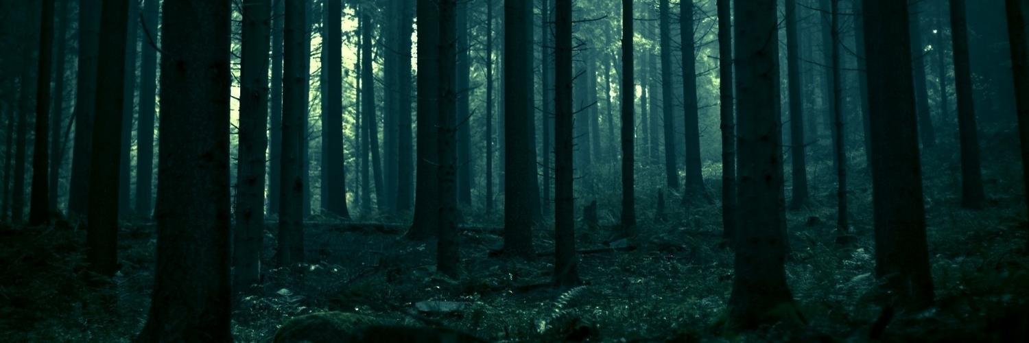 Edaann_'s profile banner image