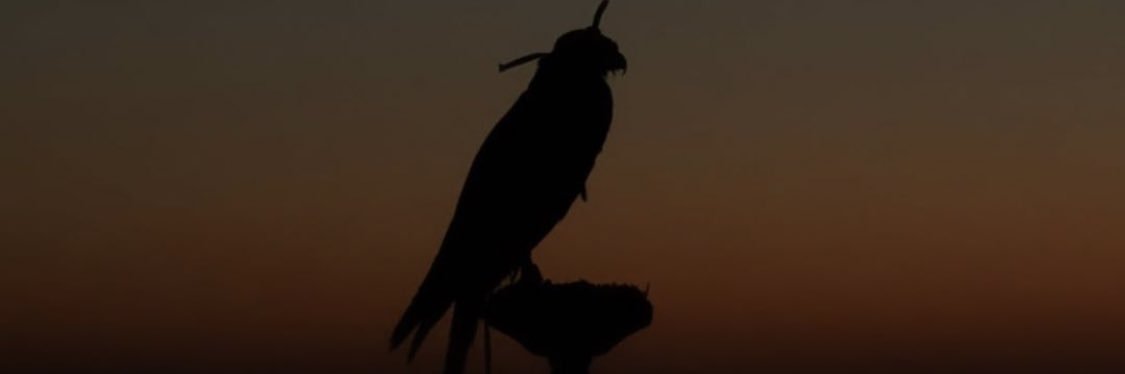 ll32_'s profile banner image