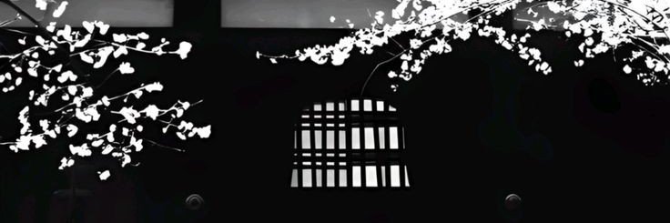 宋威龙 𝘞𝘦𝘪𝘭𝘰𝘯𝘨. banner