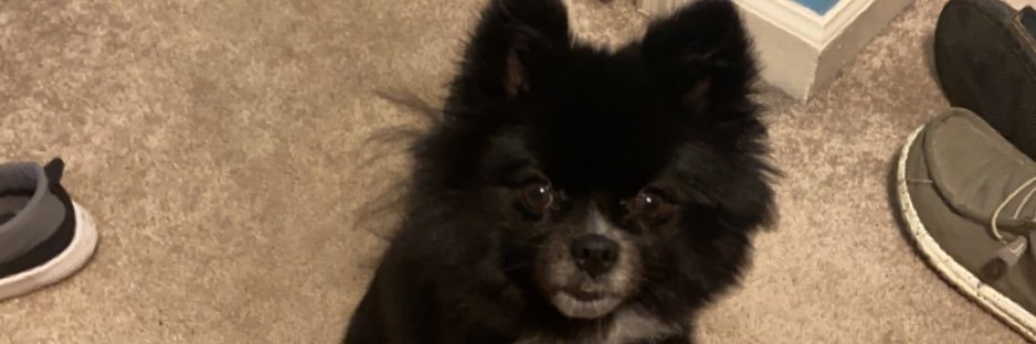 kbm_12's profile banner image