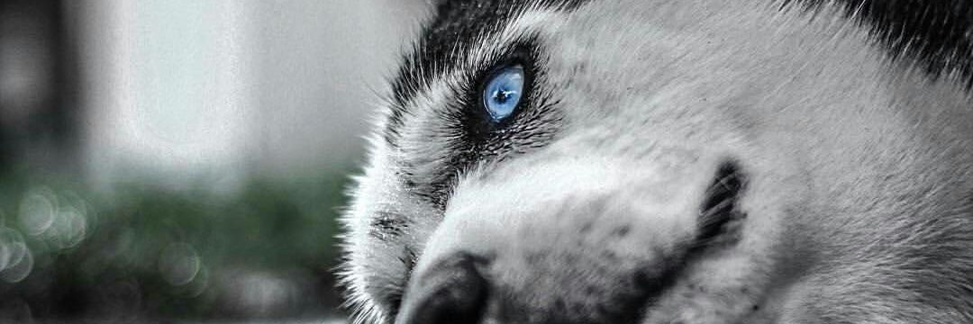 52400Onur's profile banner image