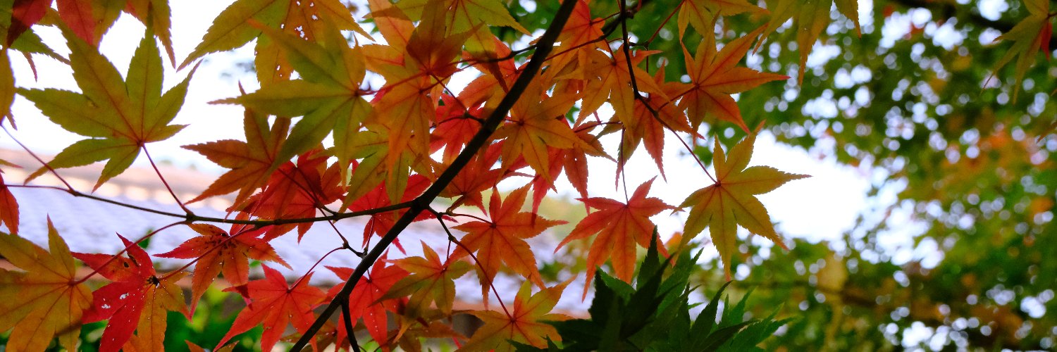 Yukue's profile banner image