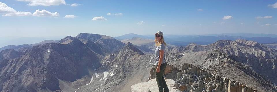 MichelleFDecker's profile banner image