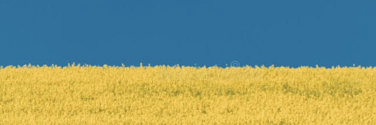 pocoapoco778's profile banner image