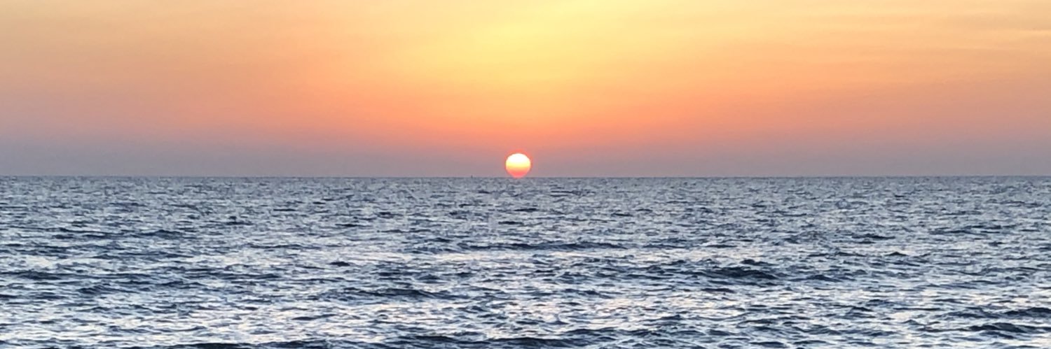 GokogluSerdar's profile banner image