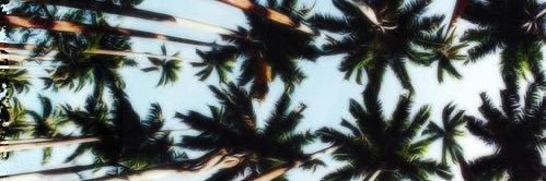 QuinneSember's profile banner image
