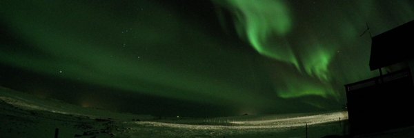 Herrings18 Profile Banner