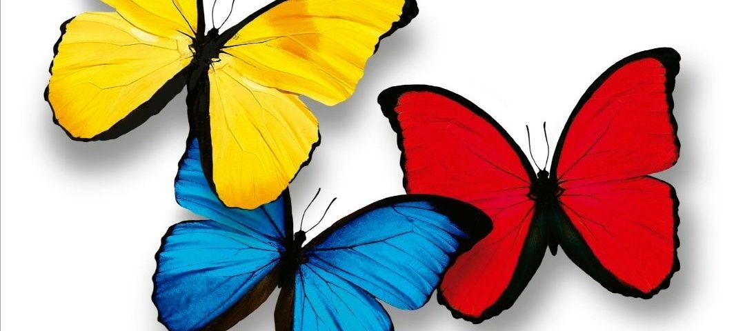 Adolfotweets's profile banner image