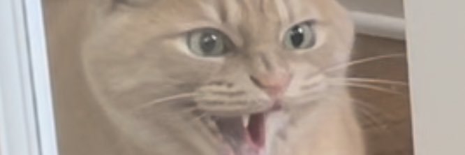 LeahFSherman's profile banner image