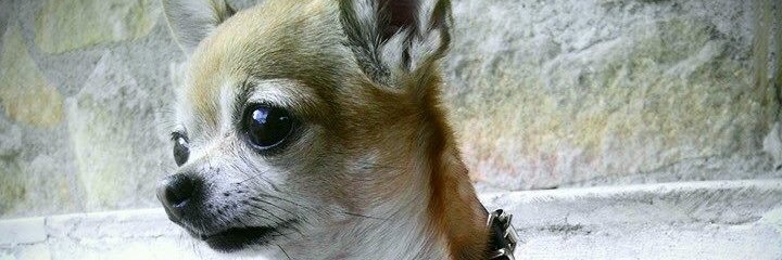 AnamMa87's profile banner image
