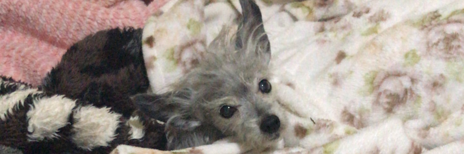 LucSCI's profile banner image