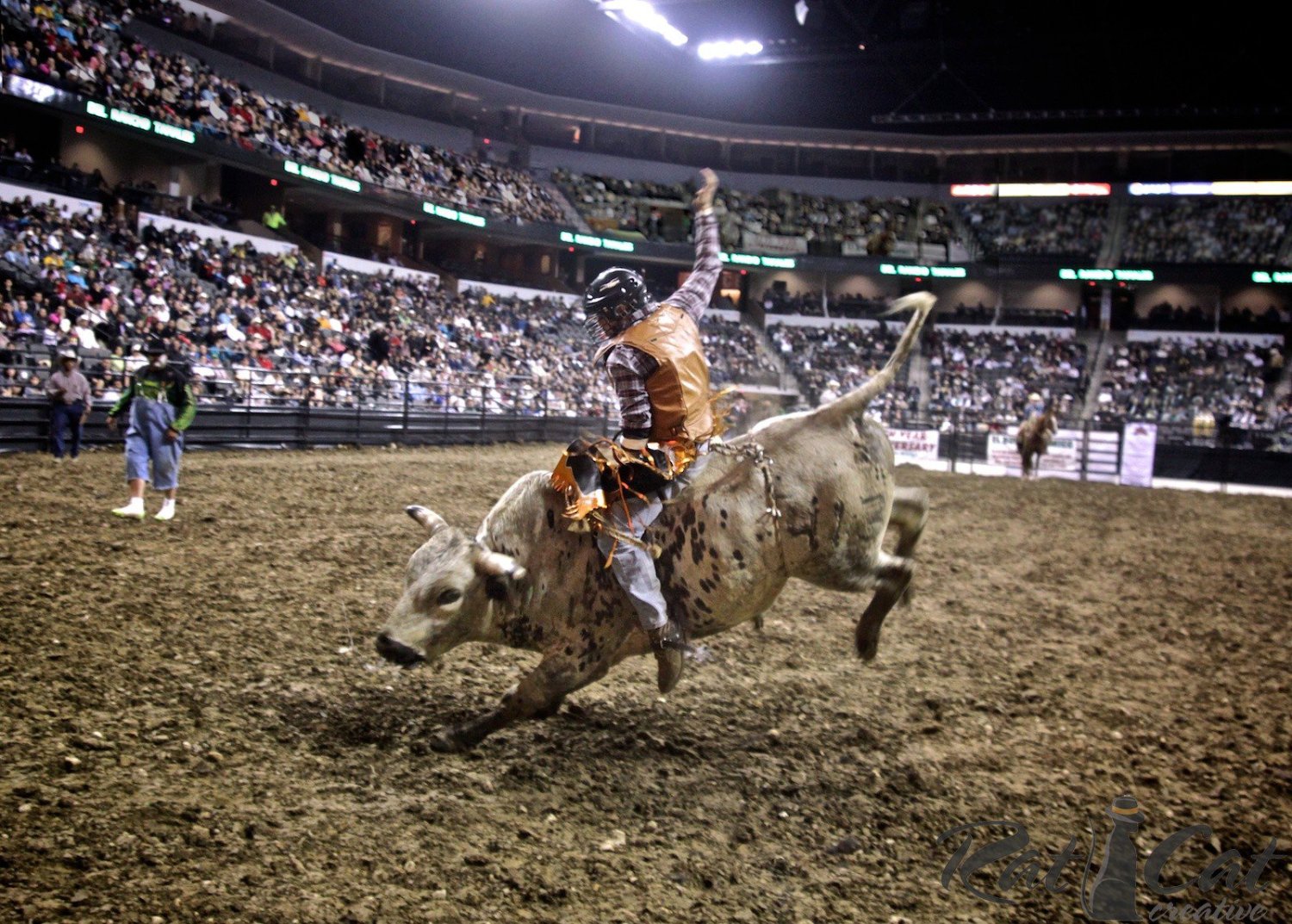 Professional Championship Bull Riders (@pcbtour) / Posts / X