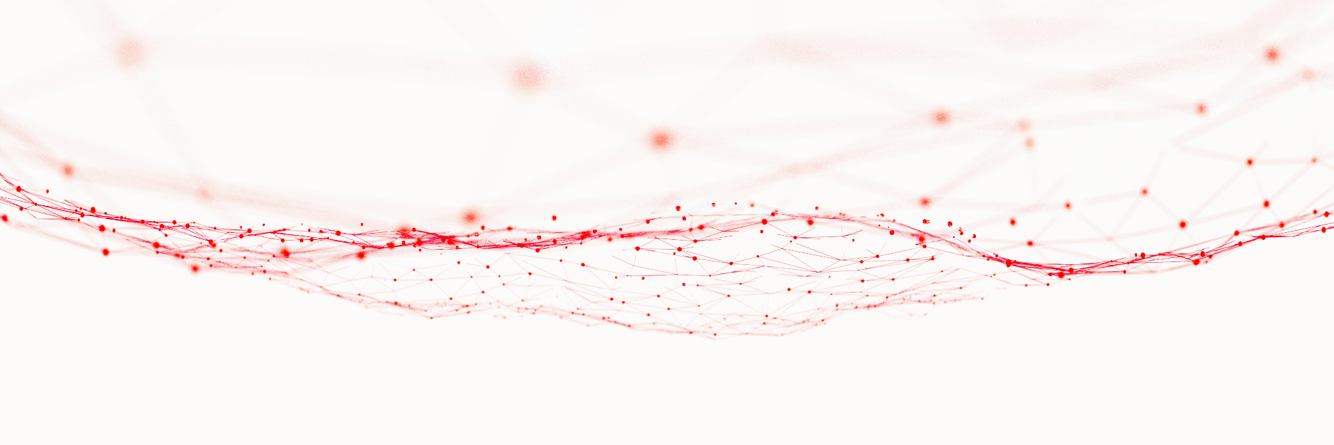 BlenderNetwork's profile banner image