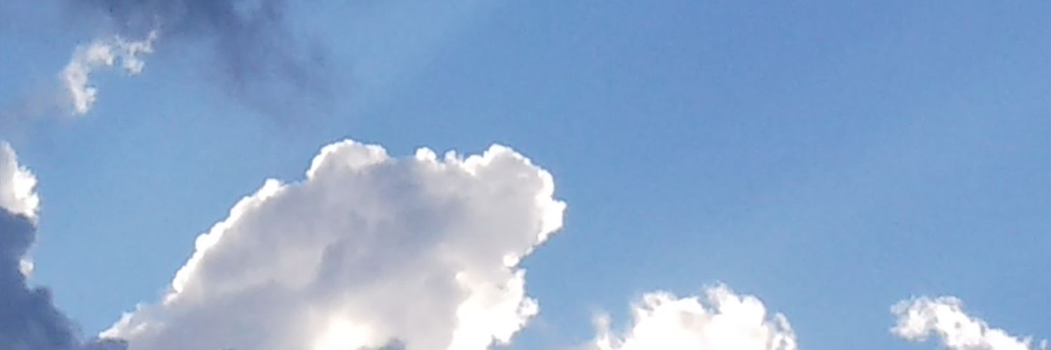 マユ banner