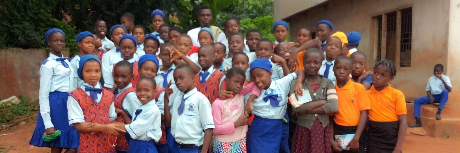 Olaoluwa F. Oyeleye banner