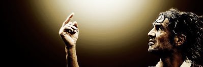 Robin. banner