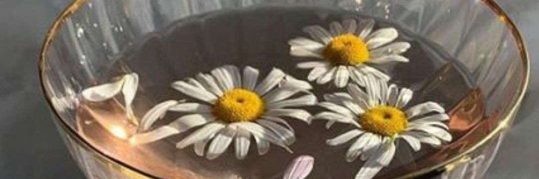 ValentinaJacob's profile banner image