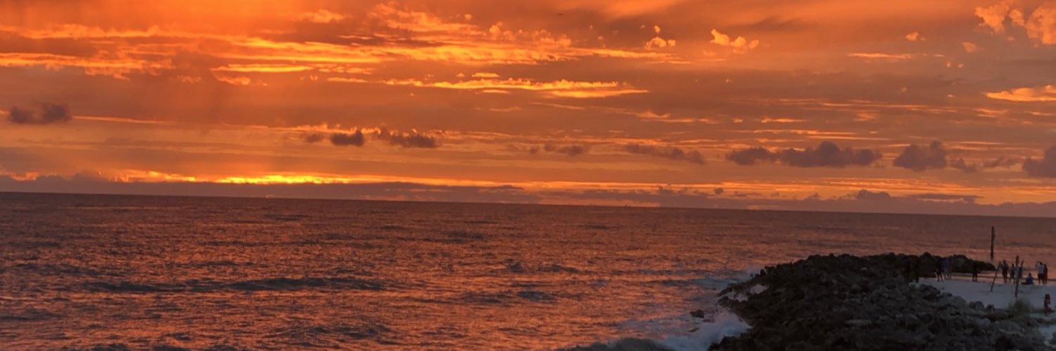 cherielarson's profile banner image