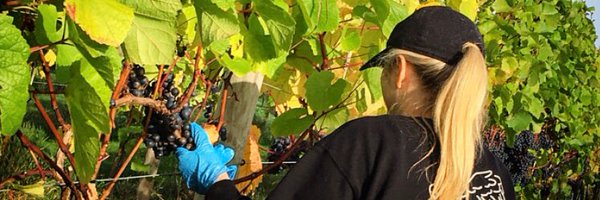 ThatSabrina Profile Banner