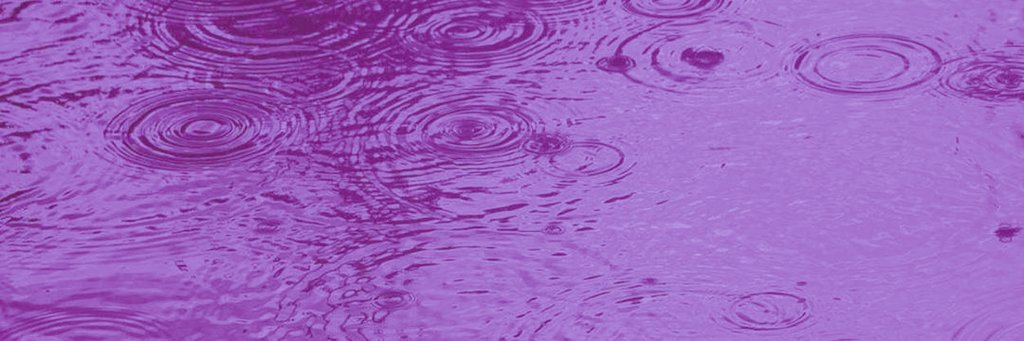 TRANSPARENCIAUNIV banner