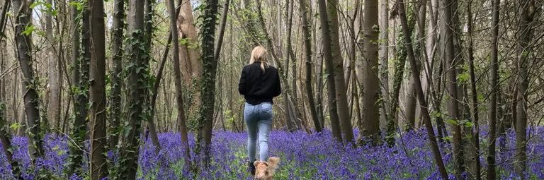 KaylaKerr10's profile banner image
