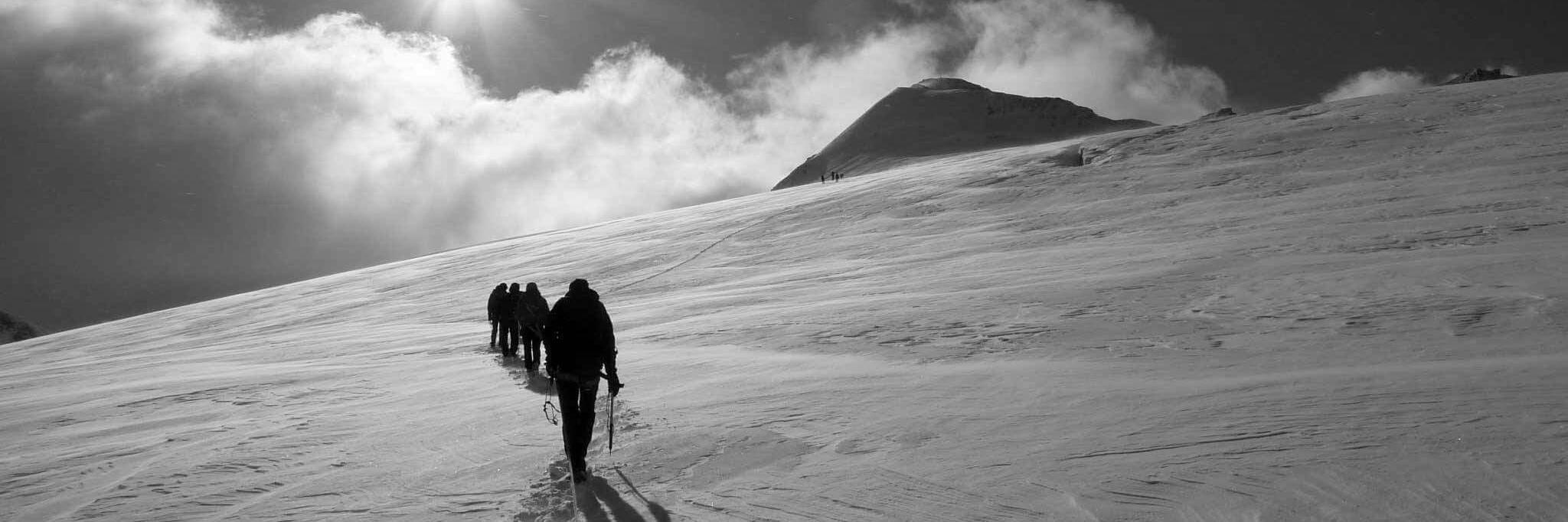 Fabrizio Goria banner