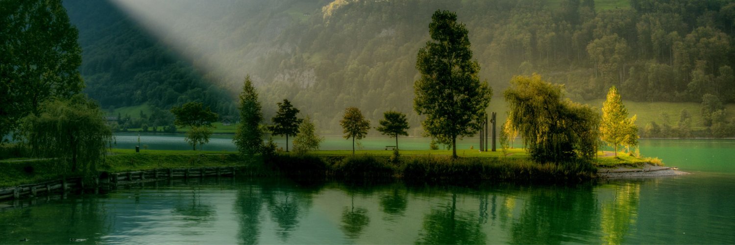 evansftx's profile banner image
