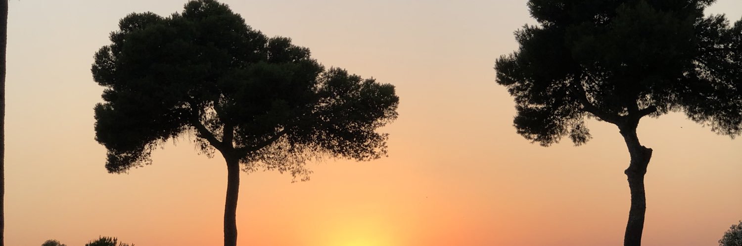 LolaSM17's profile banner image