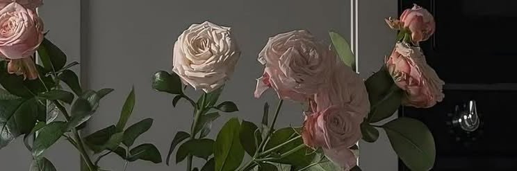 its_ech9's profile banner image