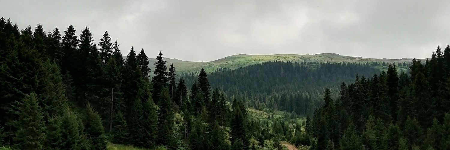 yyucemmm's profile banner image