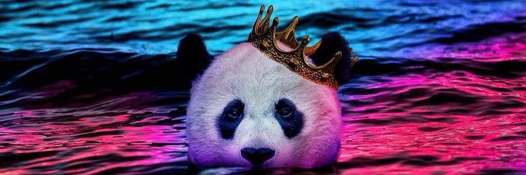 Deliis!!🐼®️ banner