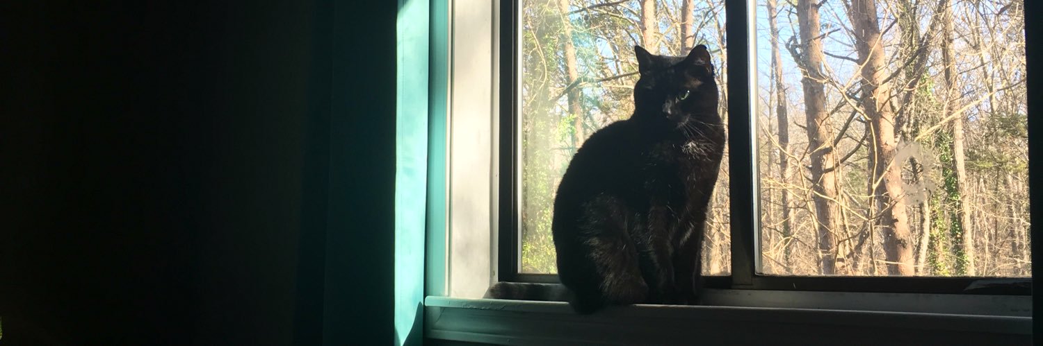 Bailey Lawson banner