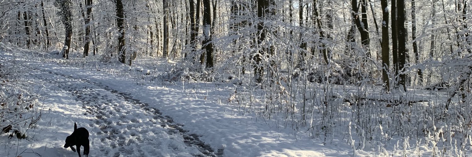 DanDuese79's profile banner image