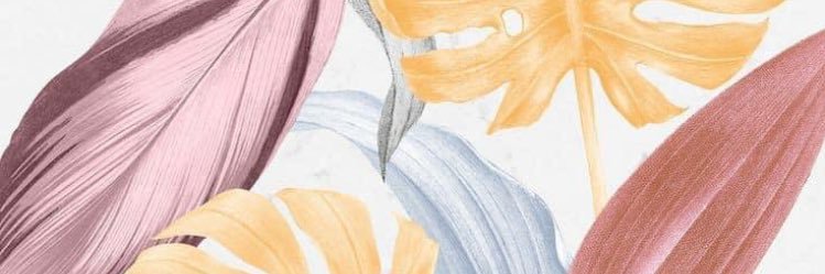 DexMira29's profile banner image